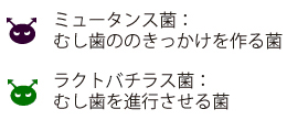 菌の種類